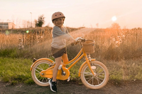 Bicicleta de aprendizagem para crianças 4-6 anos 16" Gingersnap